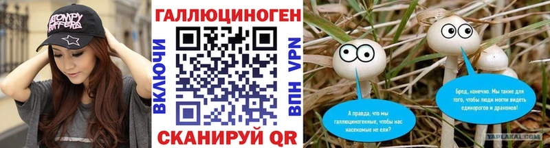как найти наркотики  Бирск  Псилоцибиновые грибы Psilocybe 